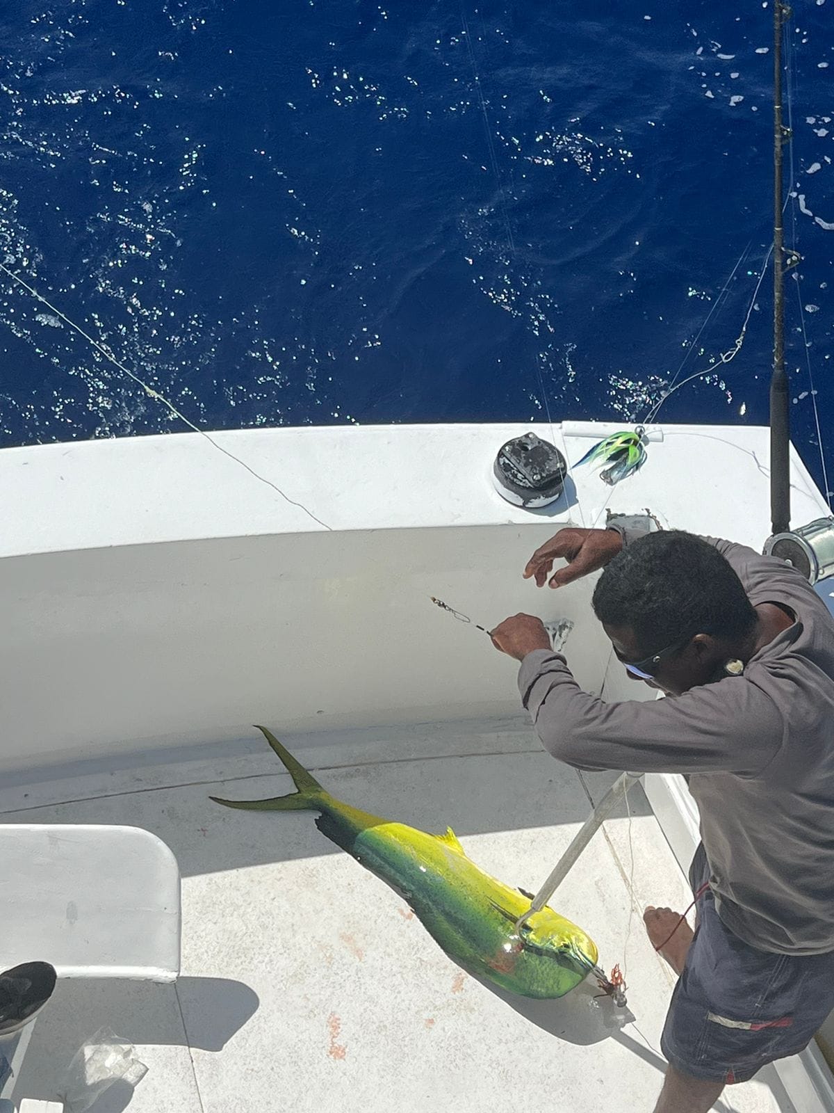 Deep Sea Fishing