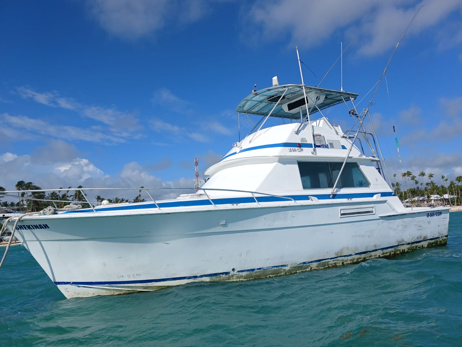 Deep Sea Fishing photo 7