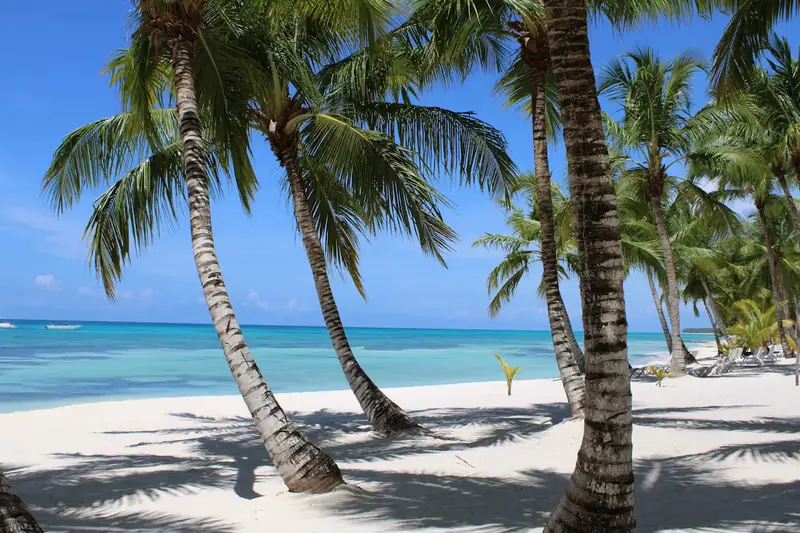 Catamaran to Saona Island