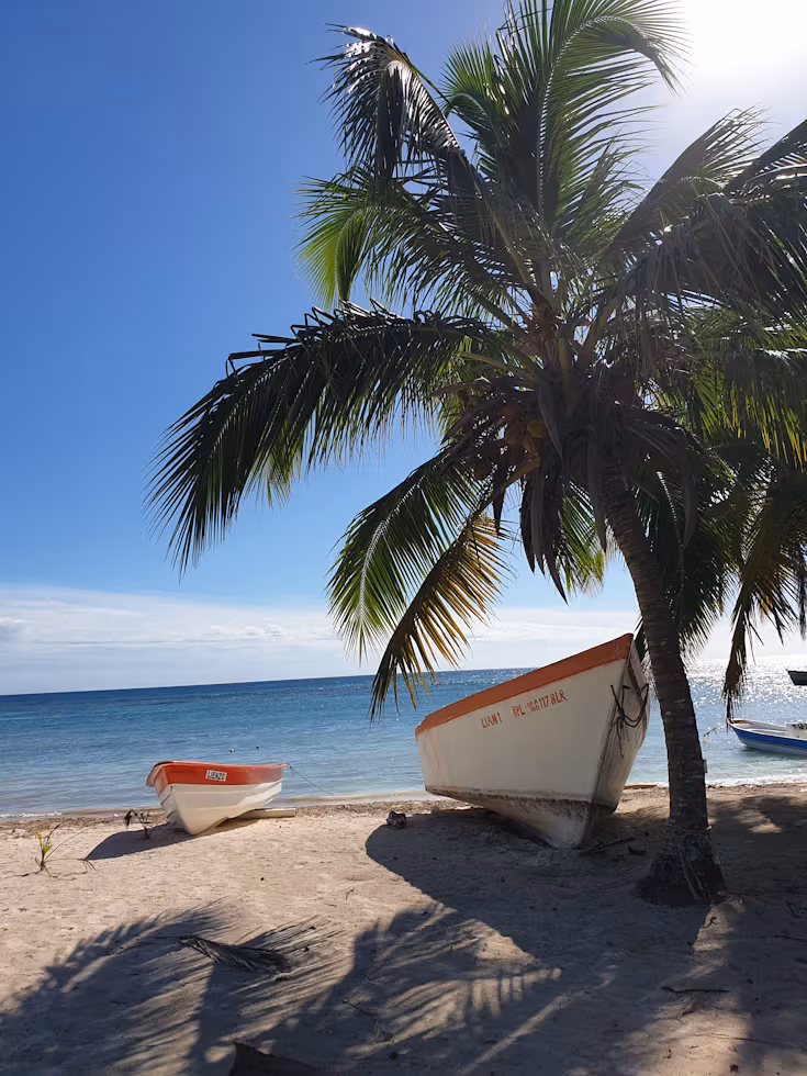 Catamaran to Saona Island photo 5